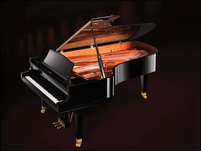 Quel est cet instrument de musique ?