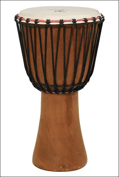 Quel est cet instrument de musique ?