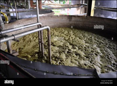 Comment se nomme en créole le jus de canne destiné à la distillation ?