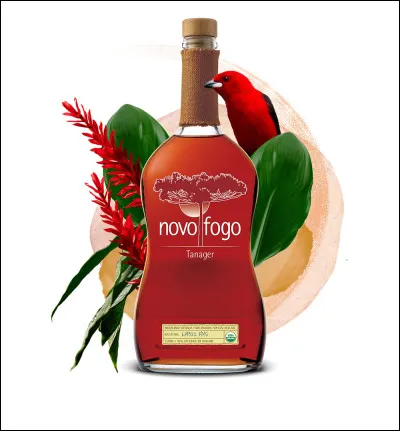 La cachaça est le produit de la distillation de quelle plante ?