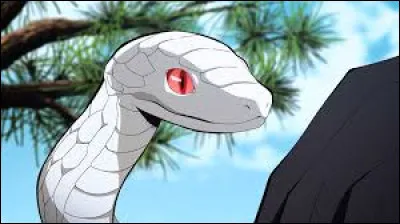 Comment se nomme le serpent d'Obanai Iguro ?