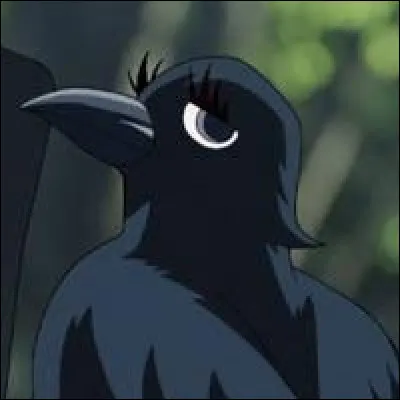Comment se nomme le corbeau de Muichiro Tokito ?
