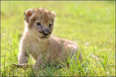 Qu'aimes-tu faire la journée ?