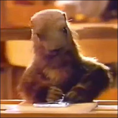 "Et la marmotte, elle met le chocolat dans le papier d'alu !". Quelle marque a réalisé la publicité dans laquelle on entendait cette réplique devenue culte en 1998 ?
