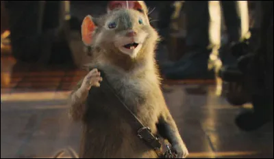 Dans quelle série littéraire de fantasy, plus tard adaptée au cinéma, apparaît la souris chevaleresque Ripitchip ?