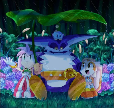 Quel est le nom de cette team ?