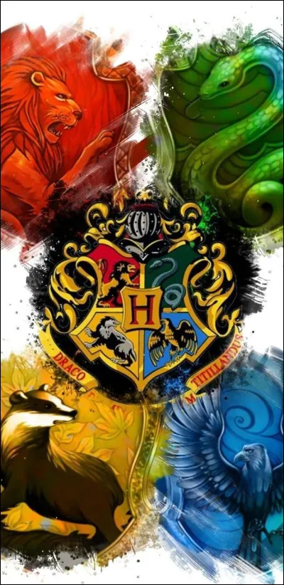 Quelle serait ta maison dans Harry Potter ?
