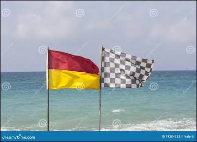 Quel drapeau indique une baignade interdite sur une plage surveillée ?