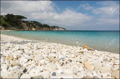 Quel type de plage est formé par des galets au lieu de sable ?