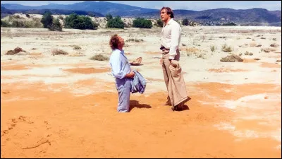 Dans quel film avec Gérard Depardieu peut-on voir cette scène où Pierre Richard s'enfonce dans des sables mouvants ?