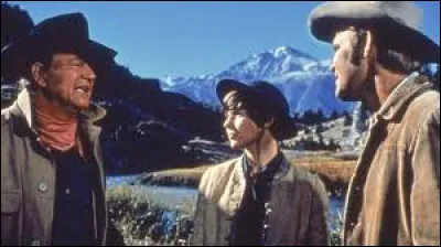 Quel est le titre du western réalisé par Henry Hathaway en 1969, avec en tête d'affiche l'acteur John Wayne ?