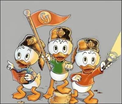 Comment sappelle la troupe scoute à laquelle appartiennent Riri, Fifi et Loulou, les neveux de Donald Duck, dans lunivers Disney ?