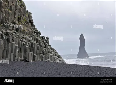 Quel animal emblématique niche en grand nombre sur les falaises islandaises ?