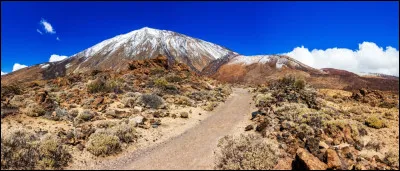 Quelle île espagnole abrite le mont Teide, le plus haut sommet du pays ?