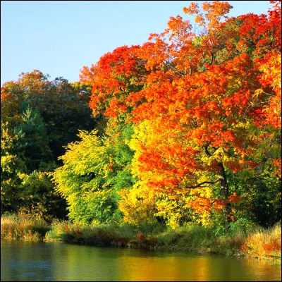 Dernière question ! En quelle saison as-tu envie d'être en ce moment ? (Si tu ne sais pas, choisis la saison actuelle !)