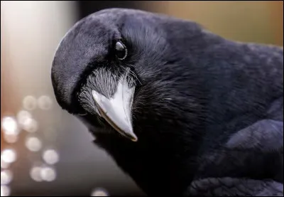 Aimes-tu (ou supportes-tu pour certains) les trucs complexes ou compliqués ?