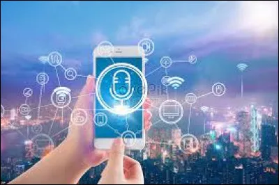 Comment appelle-t-on la génération née alors que les communications numériques étaient déjà bien installées dans la société ?