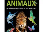 Quiz Les records des animaux