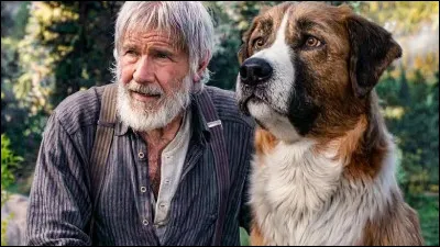 Dans quel roman d'aventures de Jack London, publié en 1903, suit-on les aventures du chien Buck ?