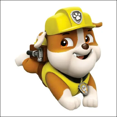 Retournons dans le présent. Quel est le nom de ce bulldog anglais, membre de la Pat' Patrouille ?