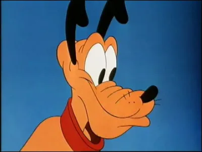Laquelle de ces affirmations à propos de Pluto de l'univers Disney "Mickey Mouse" est vraie ?