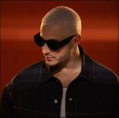 A quel DJ et producteur franco-algérien doit-on le titre "Diana" en 2024 ?