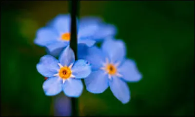 Combien a-t-elle de fr&egrave;res et s�urs ?