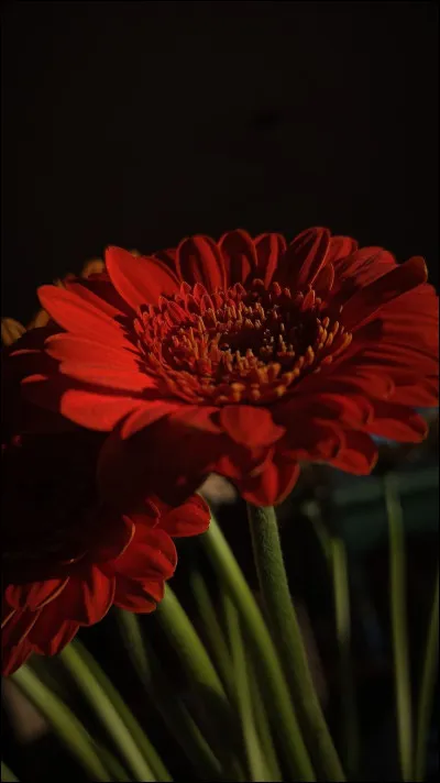 &Agrave; quelle heure commence-t-elle &agrave; &eacute;crire chaque jour sans exception ?