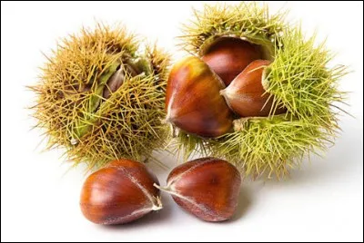 Quel est le nom de ce fruit qui se récolte en octobre ?