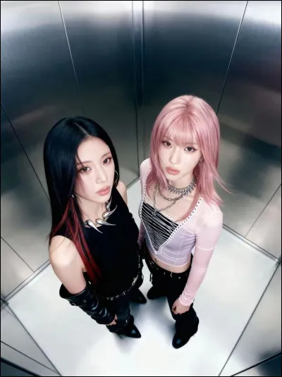 Quel est ton Ghibli préféré ?