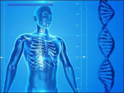 Comment appelle-t-on l'inflammation des membranes qui entourent le cerveau et la moelle épinière ?