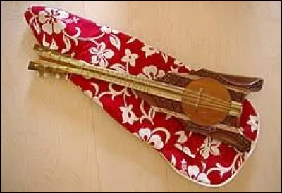 Quel instrument de musique a un nom signifiant "puce sauteuse" en hawaïen ?