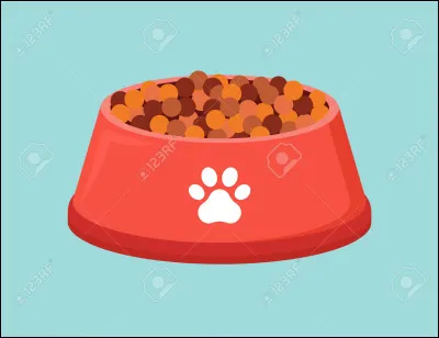 Quand ils nous mènent à leur plat de croquettes...