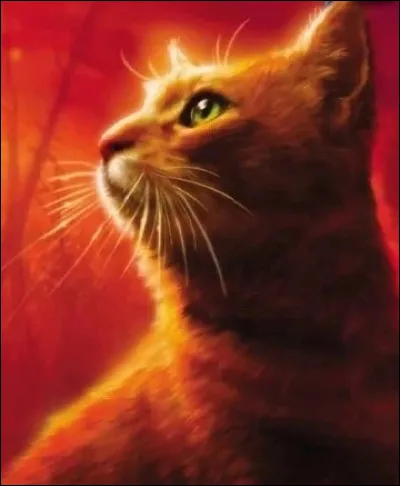 Les chats de ce clan ont-ils Étoile de Feuille comme cheffe ?