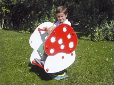 Dans quel espace peut-on trouver ce drôle de champignon ?