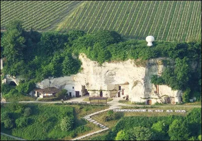 Dans quelle région peut-on visiter la cave consacrée au musée du champignon ?