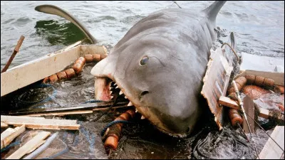 Quel est le titre de ce film ?