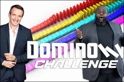 Quel duo présente l'émission "Domino Challenge" sur M6 ?