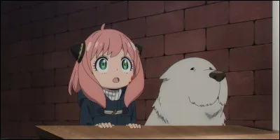 C'est l'anniversaire d'un de tes amis, que lui offres-tu ?