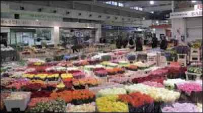 J'en profite pour m'approvisionner en fleurs au marché d'intérêt nationale de Rungis. Ville francilienne, dans l'arrondissement de L'Haÿ-les-Roses, elle se situe dans le département ...