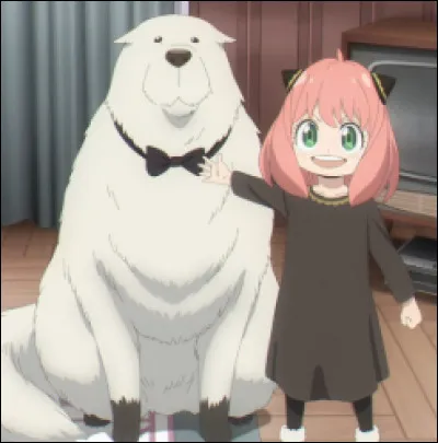 Comment se nomme ce chien ?