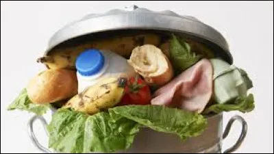 Quel est le pourcentage de nourriture gaspillée en 2024 ?