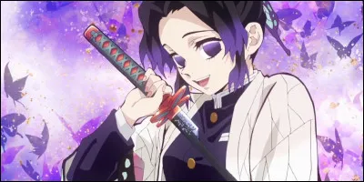 Shinobu mesure :