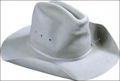 Je suis un chapeau de :