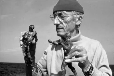 Je suis le bonnet de Cousteau qui tait de couleur :