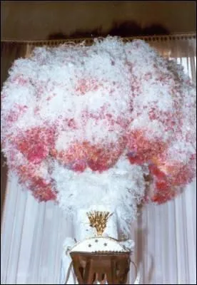 Je suis port au carnaval de :