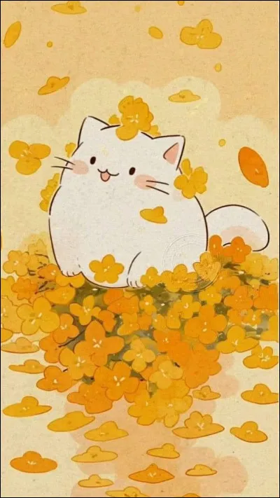 Tu préfères : (partie 2)