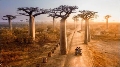 Quel est le surnom de Madagascar ?