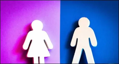 Question simple : tu es...