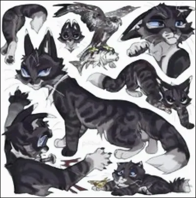 Un guerrier du Clan de la Rivière qui a une famille très célèbre et dont Étoile de Feu est l'oncle par alliance :